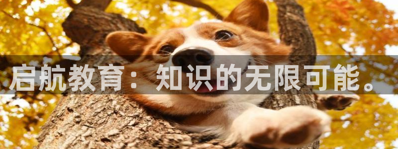 jdb电子技巧金刚