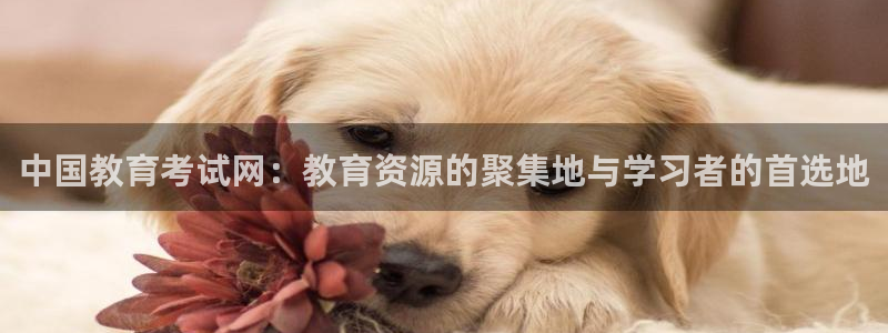 jdb电子免费游戏