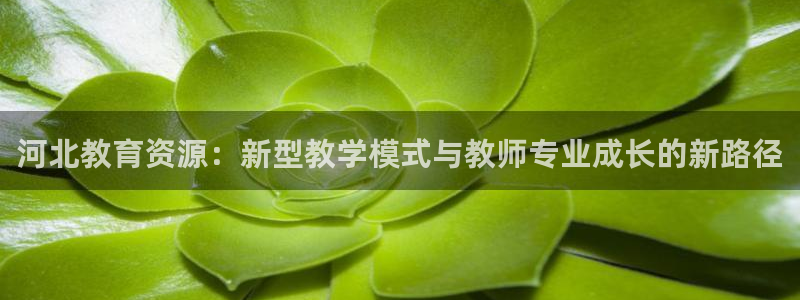 JDB电子网址