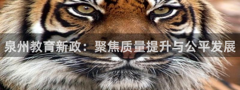 JDB电子夺宝72倍金刚