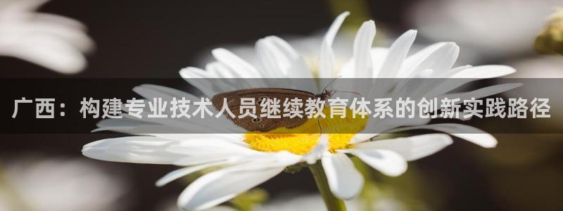 jdb电子下载