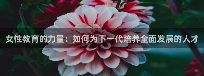 jdb集团