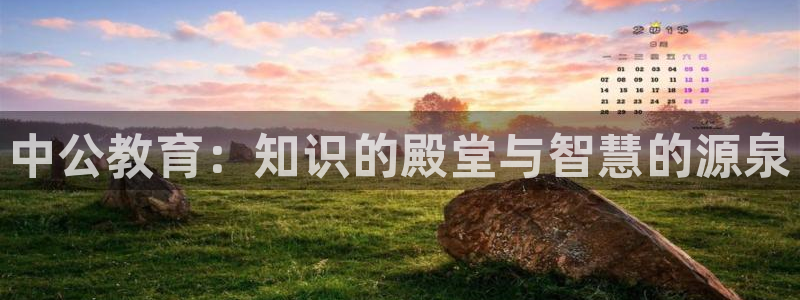 jdb电子台湾黑熊怎么玩