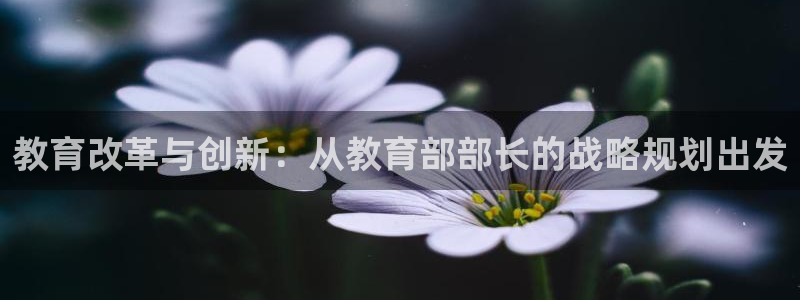 jdb电子平台台湾黑熊