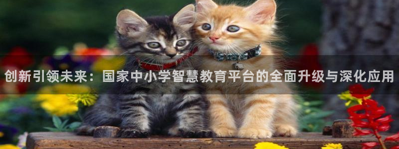 JDB电子公司