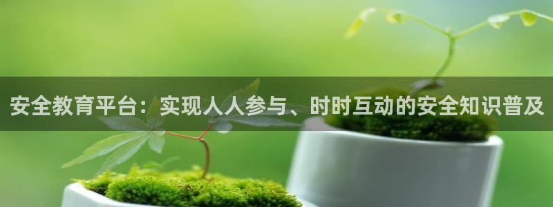 jdb电子台湾黑熊