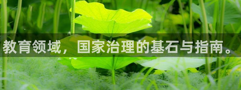 电子游艺jdb变脸