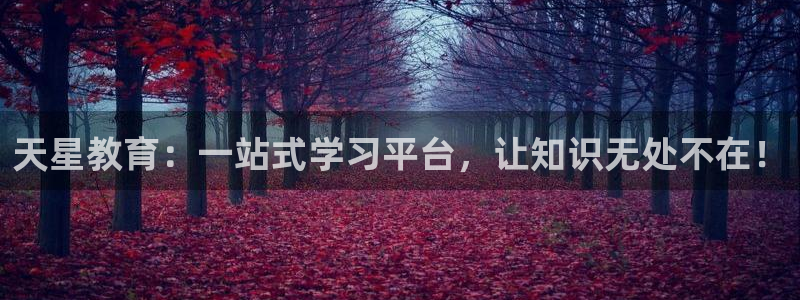 jdb夺宝游戏中奖视频